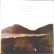 BONNIE PRINCE BILLY - THE LETTING GO