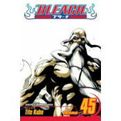 Bleach vol. 45