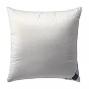 JASTUK PROŠIVENI 40/60 cm