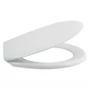 WC Daska arizona C2 1450GR duroplast INOX okovi