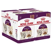 Royal Canin FHN Sensory Taste Gravy 24 x 85 g