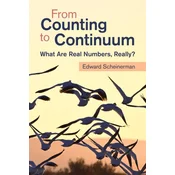 From Counting to Continuum