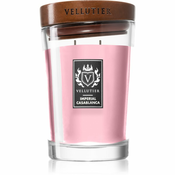 Vellutier Imperial Casablanca dišeča sveča 515 g