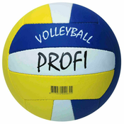 Volleyball Beach ProfiVolleyball Beach Profi