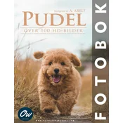 Pudel