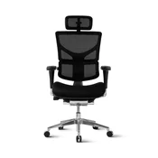 Ergovision Ergonomski pisarniški stol SMART | Barva: Črna
