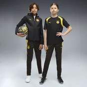 PUMA Borussia Dortmund Training Pants Youth, Clothing, Black/Faster Yellow, 7-8Y