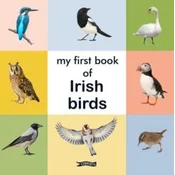 My First Book of Irish Birds