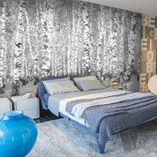 Foto tapeta - Birch seclusion 400x309