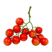 Rajcica Cherry BIO kg