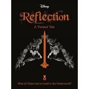 Disney Princess Mulan: Reflection