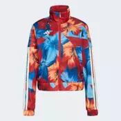 ADIDAS Duks farm tiro tt W