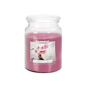 eoshop Sveča v kozarcu SPA VRT dišeč 500g