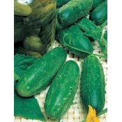 KUMARICE LEVINA BIG PACK 10gr