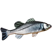 Vzglavnik Gaby ET Sea Bass 70cm