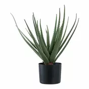 Umetna rastlina v loncu House Nordic Aloe Vera zelena barva