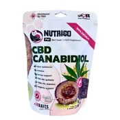 LK Baits dodatak Pet Nutrigo Dog Supplement CBD Canabidol – Mini, 75g