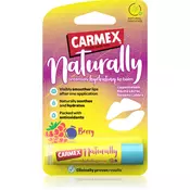Carmex Berry vlažilni balzam za ustnice v paličici 4.25 g