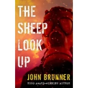 Sheep Look Up