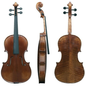 Viola (antična) Maestro 6 Gewa – različni modeli