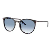 Ray-Ban Naočare za sunce RB 2204 14303F