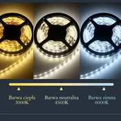 Bic Ovalno kopalniško ogledalo z LED osvetlitvijo BREZ okvirja, polirano 40x80 aurelia