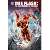 The Flash: The Road to Rebirth Omnibus