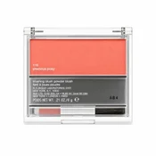 Clinique Blushing Blush Powder Blush rdečilo v prahu 110 Precious Posy 6 g