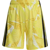 adidas Kratke hlače Tiro 26 Competition Goalkeeper Kids