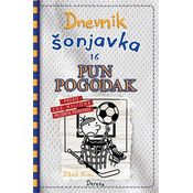 Dnevnik šonjavka 16 - Pun pogodak - Džef Kini