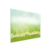shumee STEKLENA DESKA ZA REZANJE 52x40 DAISY