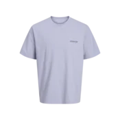 JACK & JONES JUNIOR Majica za decake 12274897, Siva