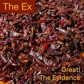 The Ex - Great!/The Evidence (7)