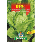 SOLATA ROMANA LENTISSIMA BIG PACK 20gr