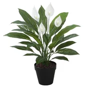 Homestar Umetna rastlina WIND SPATHE 60 cm