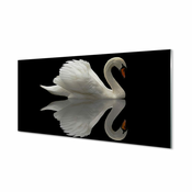 tulup.si Stenska plošča za kuhinjo Swan v noči 140x70 cm