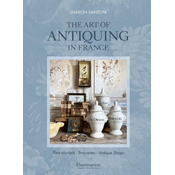 Art of Antiquing in France