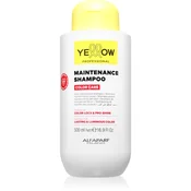 Yellow Professional Color Care Maintenance Shampoo 500 ml