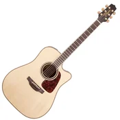 Takamine P4DC