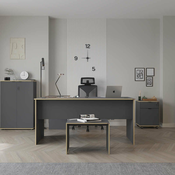HANAH HOME Radni sto Rms 320 Ax 1