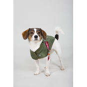 Dog MA-1 jacket sage greenDog MA-1 jacket sage green