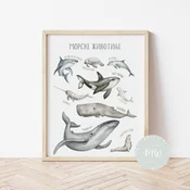 Its a moms world Edukativni poster za decu bez rama Morske životinje A3