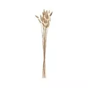 Eglo 428039 - Sušeni cvet GUIPOS, 60 cm, bež