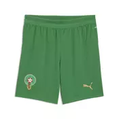 PUMA Morocco 2026 Shorts Youth, Football, Archive Green/Victory Gold, 13-14Y