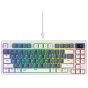 Havit Mechanical Gaming Keyboard KB884L white