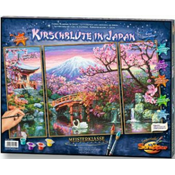Schipper Češnjev cvet na Japonskem