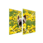 shumee STEKLENA ZAŠČITNA KROŽNIKA ZA KUHINJO 2x35x52 DOG
