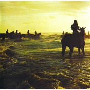Foals Holy Fire (CD)