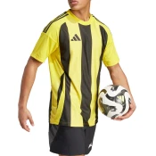 Dres adidas STRIPED 24 JSY
