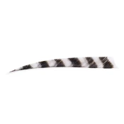 Trueflight Feathers 5” Shield RW Barred